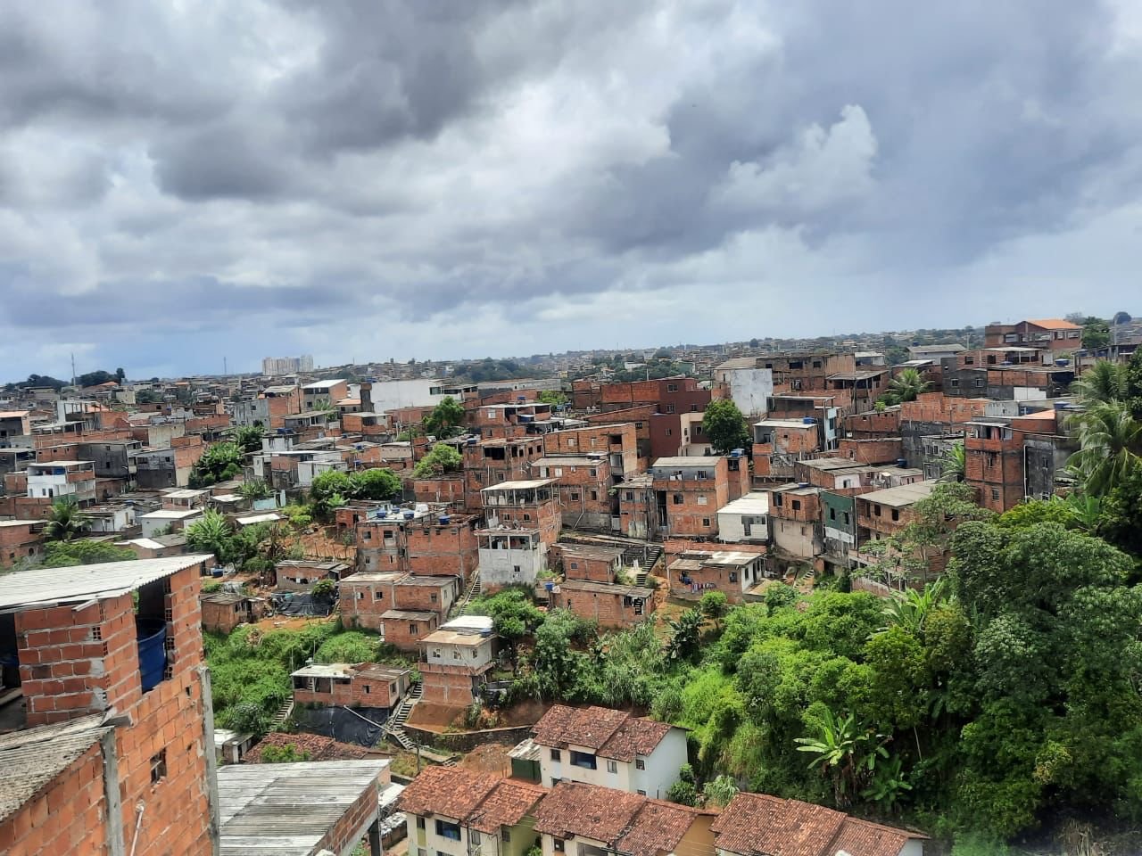 WhatsApp Image 2023-03-12 at 10.53.48