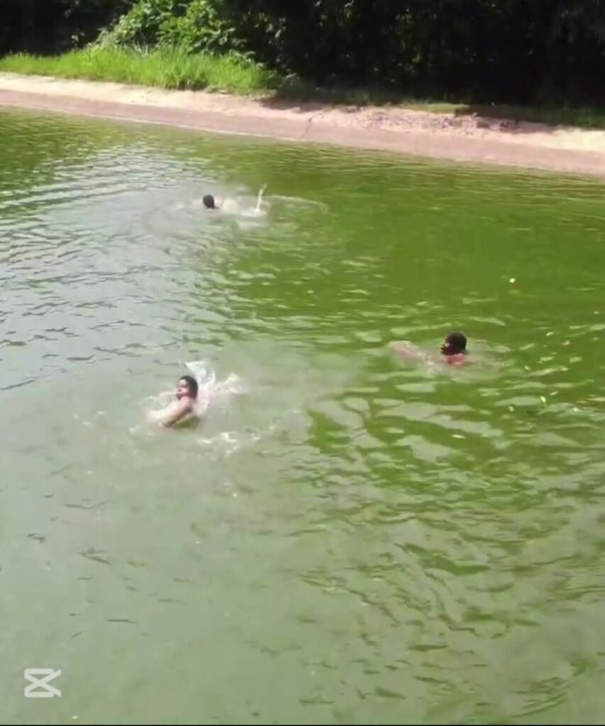 Pinicão Cajazeiras 7 